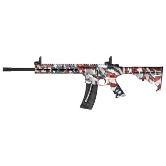 Smith & Wesson M&P 15-22 Sport Flag Finish – 250th Anniversary